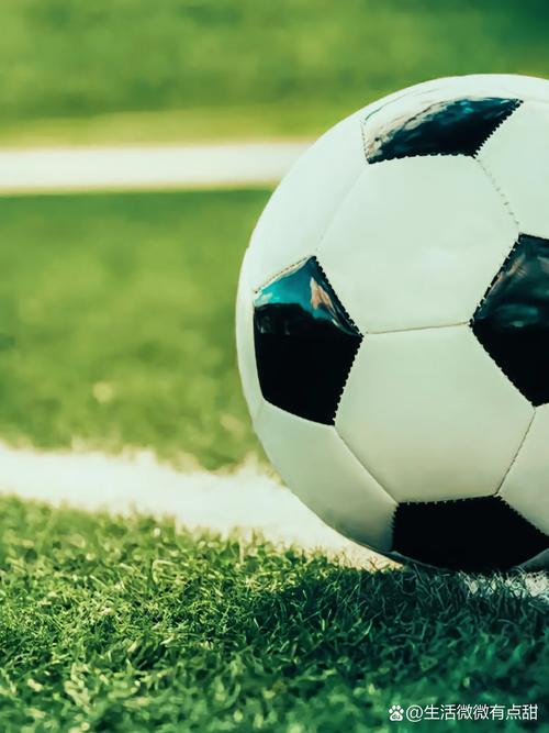 休闲用户查看比分