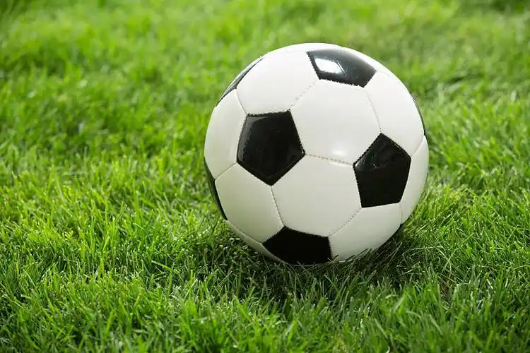 资深球迷使用手机即时比分网